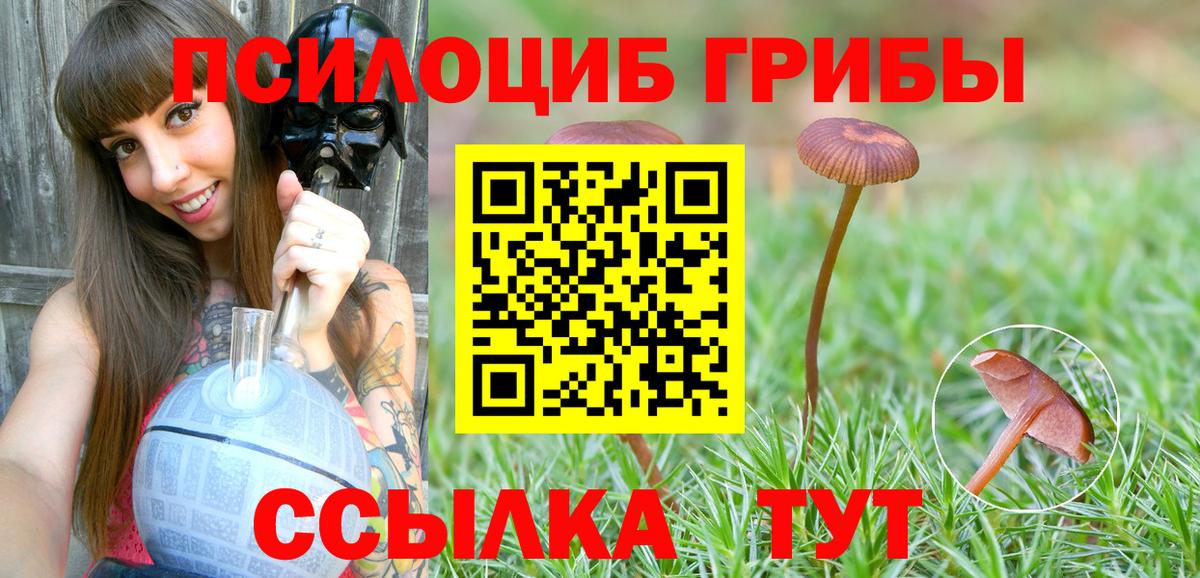 Первоуральск  Галлюциногенные грибы GOLDEN TEACHER  Вход с VPN 